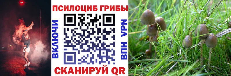 Галлюциногенные грибы ЛСД  omg ссылка  Муром 